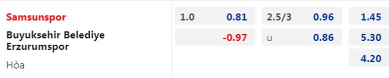 Nhận định Samsunspor vs Erzurumspor, 0h00 ngày 31/1: Áp sát ngôi đầu - Ảnh 3