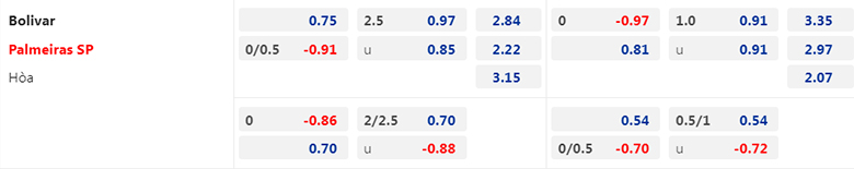 Nhận định Club Bolivar vs Palmeiras, 7h30 ngày 6/4: Sức mạnh sân nhà - Ảnh 3
