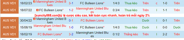 Nhận định Bulleen Lions vs Manningham United Blues, 17h15 ngày 22/5: Chìm sâu vào khủng hoảng - Ảnh 1