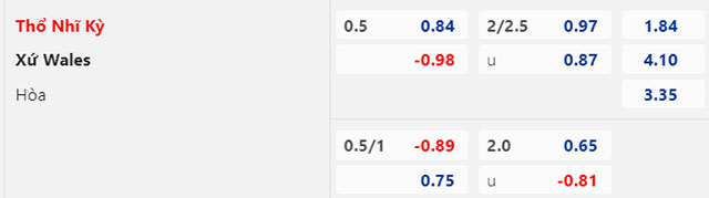 Lật tẩy nhà cái hôm nay: Thổ Nhĩ Kỳ vs Wales, 01h45 ngày 20/6 - Ảnh 2