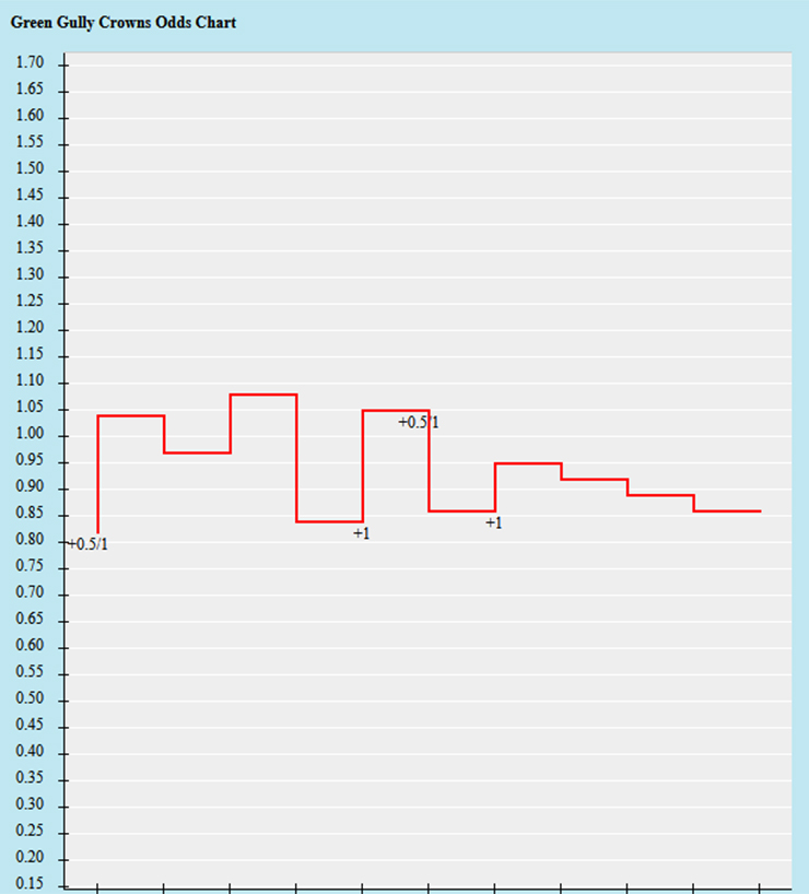 Trận cầu vàng hôm nay: Green Gully vs Avondale FC, 17h00 ngày 23/6 - Ảnh 1