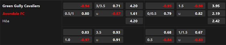 Trận cầu vàng hôm nay: Green Gully vs Avondale FC, 17h00 ngày 23/6 - Ảnh 4