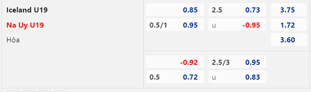 T&iacute;p b&oacute;ng ngon ăn nhất h&ocirc;m nay: U19 Iceland vs U19 Na Uy, 02h00 ng&agrave;y 8/7  - Ảnh 1