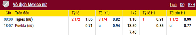 Soi kèo Nữ Tigres UANL vs Nữ Puebla, 02h00 ngày 18/8 - Ảnh 1