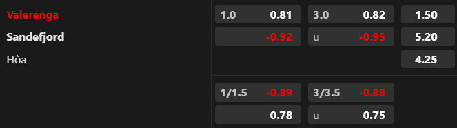 Trận cầu v&agrave;ng h&ocirc;m nay: Valerenga vs Sandefjord, 20h30 ng&agrave;y 29/7 - Ảnh 1