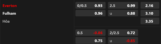 Trận cầu v&agrave;ng h&ocirc;m nay: Everton vs Fulham, 21h00 ng&agrave;y 12/8 - Ảnh 1