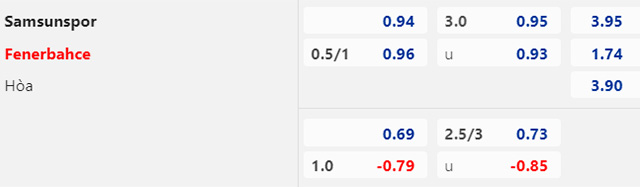 Lật tẩy nh&agrave; c&aacute;i h&ocirc;m nay: Samsunspor vs Fenerbahce, 01h00 ng&agrave;y 22/8 - Ảnh 1