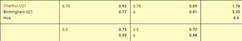 Nhận định U21 Charlton Athletic vs U21 Birmingham, 20h00 ngày 4/9: Chủ nhà thất thế - Ảnh 3