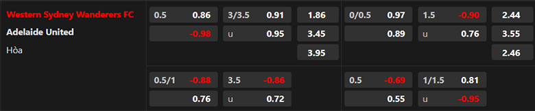 Nhận định Western Sydney vs Adelaide United, 15h45 ngày 15/12: Trở lại mạch thắng - Ảnh 3