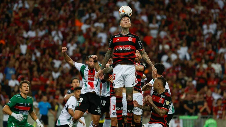 Nhận định Palestino vs Flamengo, 7h00 ngày 8/5: Chủ nhà bất lực - Ảnh 4
