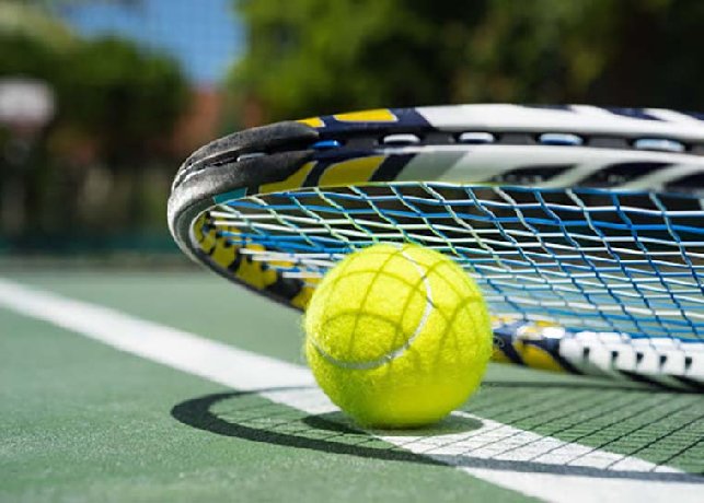 Tennis là gì? Quy định sân và lưới tennis như thế nào?