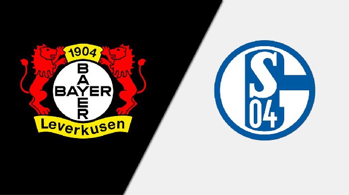 Nhận định Leverkusen vs Schalke, 20h30 ngày 8/10: Cơ hội thoát hiểm