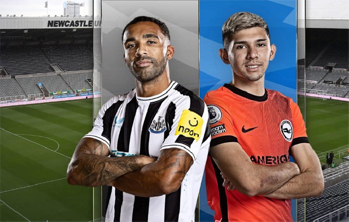 Nhận định Newcastle vs Brighton, 02h00 ngày 19/5: Chia điểm