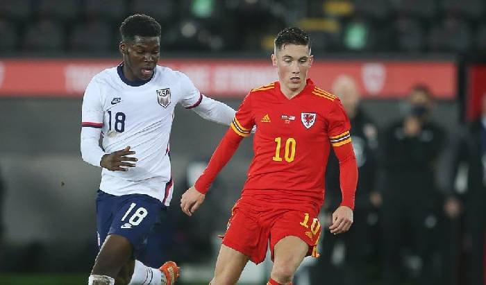 Link trực tiếp Mỹ vs Wales, 02h00 ngày 22/11, World Cup 2022