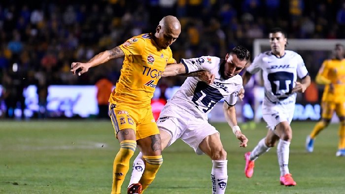 Nhận định Pumas vs Tigres, 09h05 ngày 25/8: Hổ ra uy