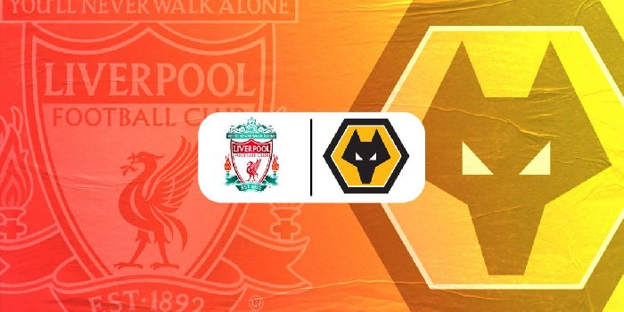 Link trực tiếp Liverpool vs Wolves, 03h00 ngày 2/3, Ngoại hạng Anh