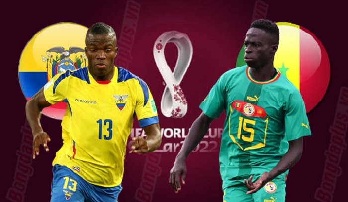 Soi tỷ lệ kèo thẻ vàng Ecuador vs Senegal, 22h00 ngày 29/11